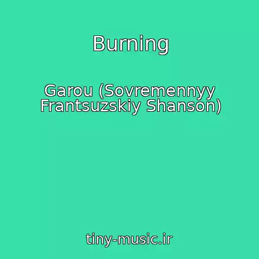 کاور آهنگ Burning از Garou (Sovremennyy Frantsuzskiy Shanson)