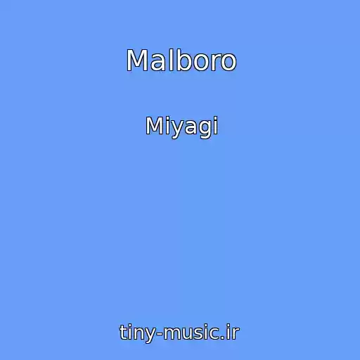 کاور آهنگ Malboro از Miyagi