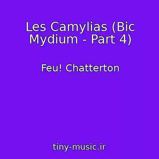کاور آهنگ Les Camylias (Bic Mydium - Part 4) از Feu! Chatterton
