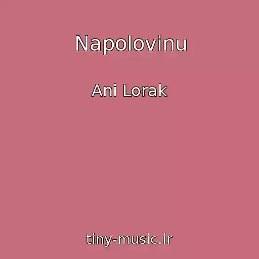 کاور آهنگ Napolovinu از Ani Lorak