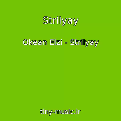 کاور آهنگ Strіlyay از Okean Elzi - Strіlyay
