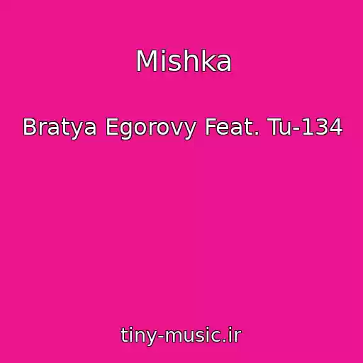 کاور آهنگ Mishka از Bratya Egorovy Feat. Tu-134