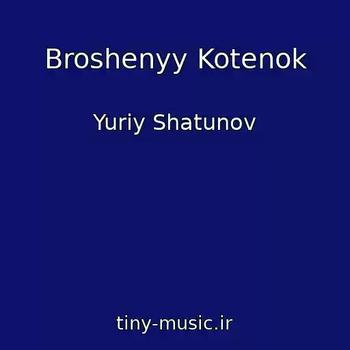 کاور آهنگ Broshenyy Kotenok از Yuriy Shatunov