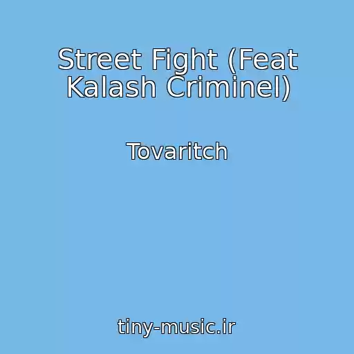 کاور آهنگ Street Fight (Feat Kalash Criminel) از Tovaritch