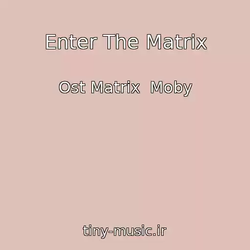 کاور آهنگ Enter The Matrix از Ost Matrix  Moby
