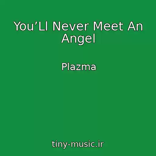 کاور آهنگ You’Ll Never Meet An Angel از Plazma