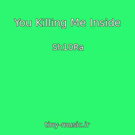 کاور آهنگ You Killing Me Inside از Sh10Ra