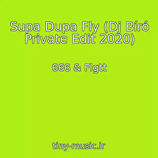 کاور آهنگ Supa Dupa Fly (Dj Bíró Private Edit 2020) از 666 & Flgtt