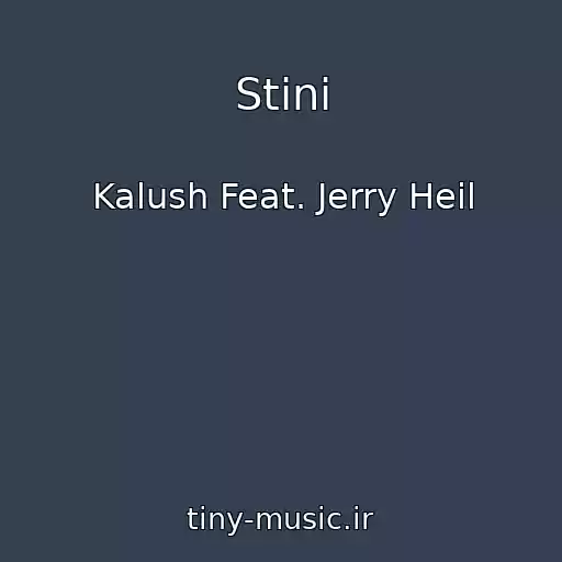 کاور آهنگ Stіni از Kalush Feat. Jerry Heil