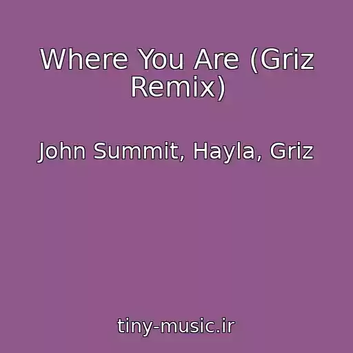 کاور آهنگ Where You Are (Griz Remix) از John Summit, Hayla, Griz