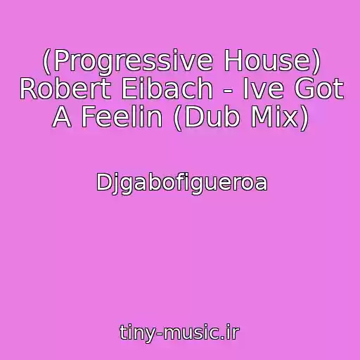 کاور آهنگ (Progressive House) Robert Eibach - Ive Got A Feelin (Dub Mix) از Djgabofigueroa