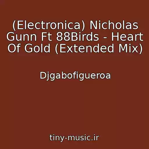 کاور آهنگ (Electronica) Nicholas Gunn Ft 88Birds - Heart Of Gold (Extended Mix) از Djgabofigueroa