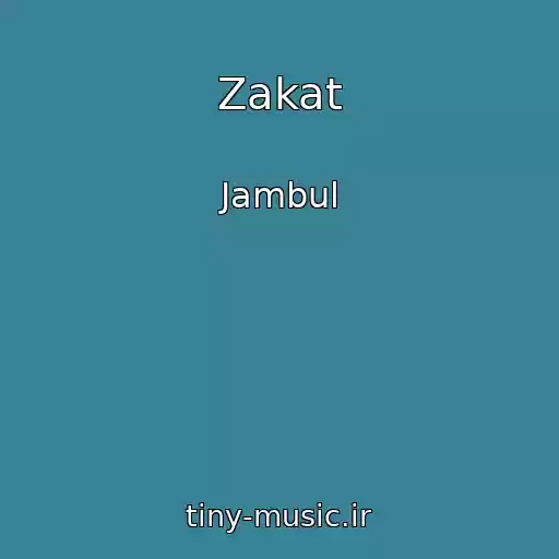 کاور آهنگ Zakat از Jambul