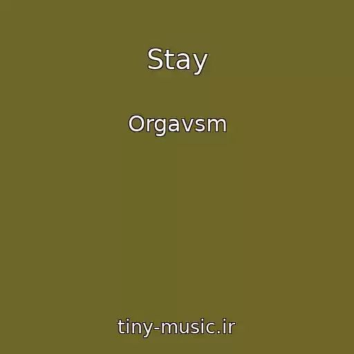 کاور آهنگ Stay از Orgavsm