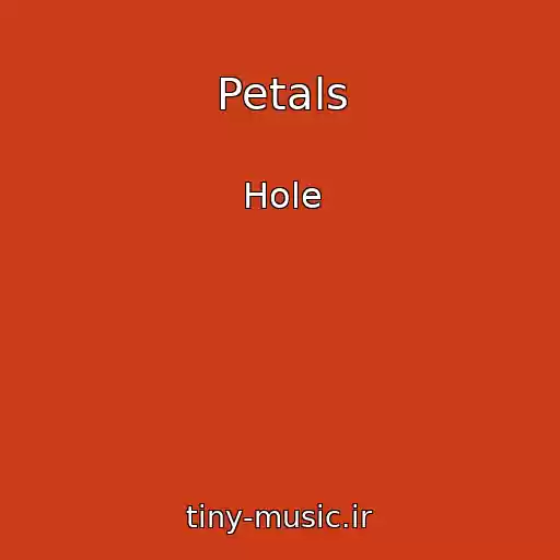 کاور آهنگ Petals از Hole