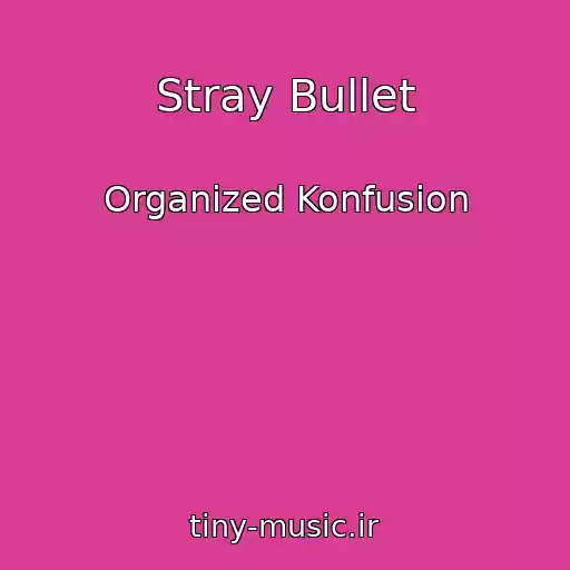 کاور آهنگ Stray Bullet از Organized Konfusion