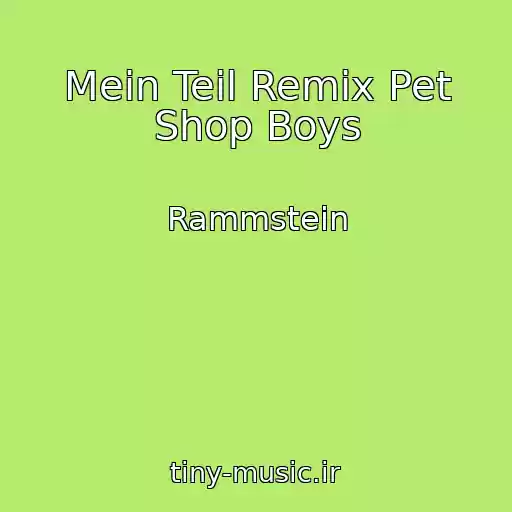 کاور آهنگ Mein Teil Remix Pet Shop Boys از Rammstein