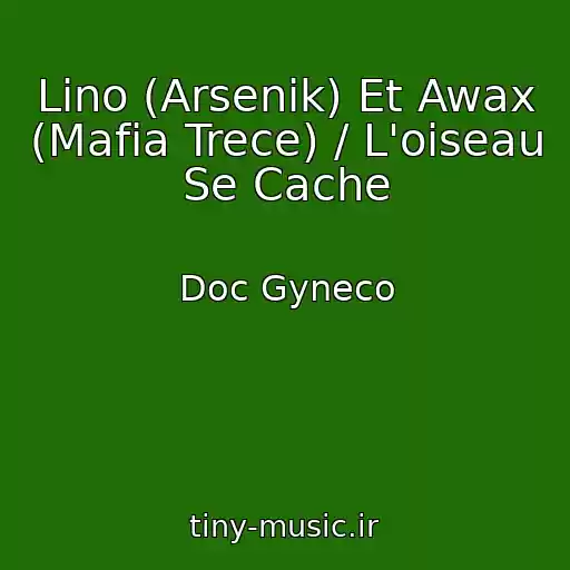 کاور آهنگ Lino (Arsenik) Et Awax (Mafia Trece) / L'oiseau Se Cache از Doc Gyneco