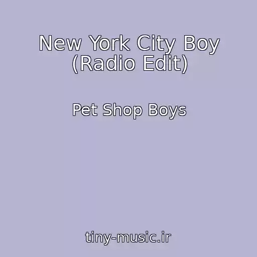 کاور آهنگ New York City Boy (Radio Edit) از Pet Shop Boys