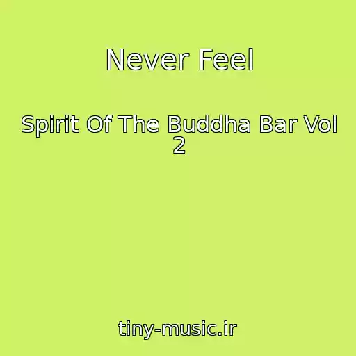 کاور آهنگ Never Feel از Spirit Of The Buddha Bar Vol 2