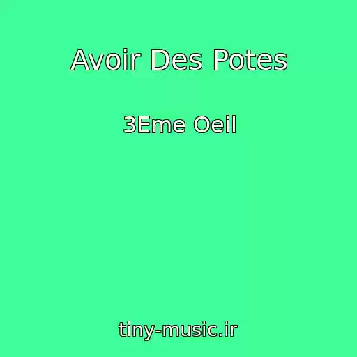 کاور آهنگ Avoir Des Potes از 3Eme Oeil