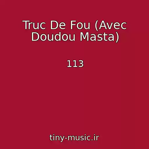 کاور آهنگ Truc De Fou (Avec Doudou Masta) از 113