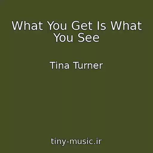 کاور آهنگ What You Get Is What You See از Tina Turner
