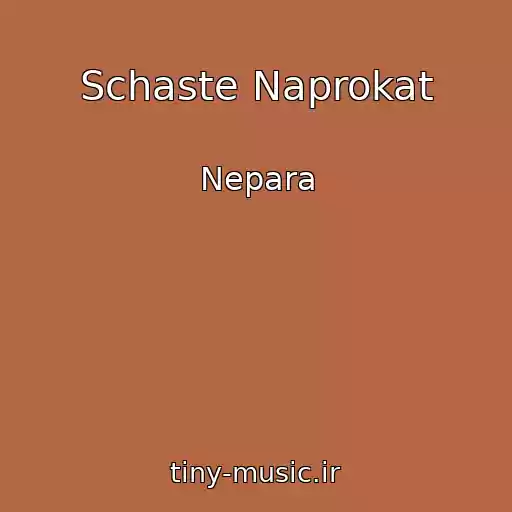 کاور آهنگ Schaste Naprokat از Nepara