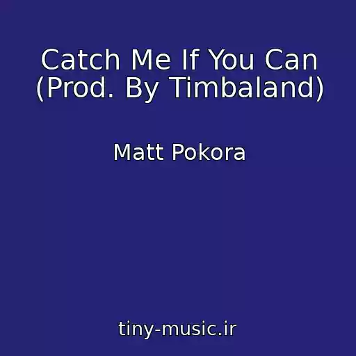 کاور آهنگ Catch Me If You Can (Prod. By Timbaland) از Matt Pokora
