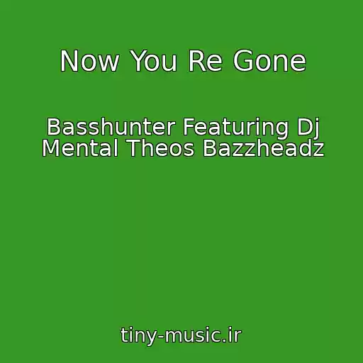 کاور آهنگ Now You Re Gone از Basshunter Featuring Dj Mental Theos Bazzheadz