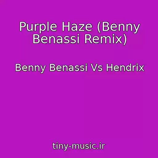 کاور آهنگ Purple Haze (Benny Benassi Remix) از Benny Benassi Vs Hendrix