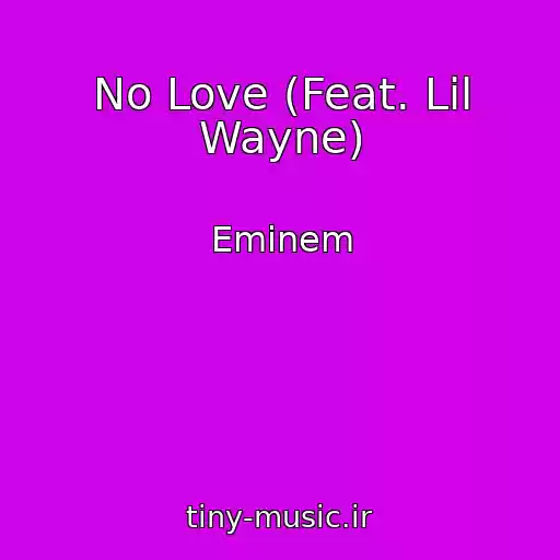 کاور آهنگ No Love (Feat. Lil Wayne) از Eminem