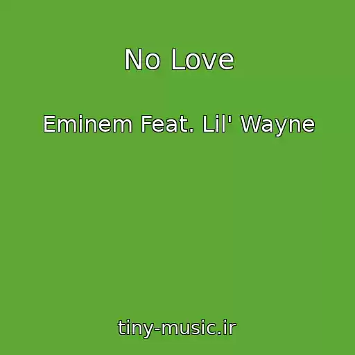 کاور آهنگ No Love از Eminem Feat. Lil' Wayne