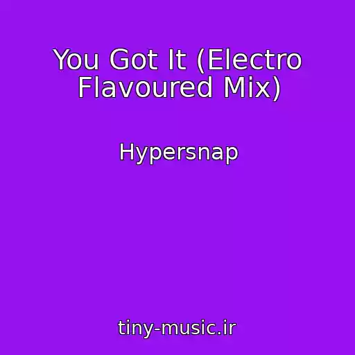 کاور آهنگ You Got It (Electro Flavoured Mix) از Hypersnap