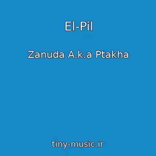 کاور آهنگ El-Pil از Zanuda A.k.a Ptakha