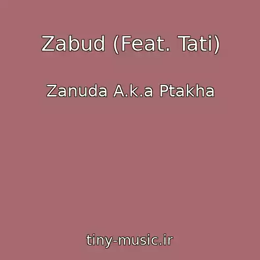 کاور آهنگ Zabud (Feat. Tati) از Zanuda A.k.a Ptakha