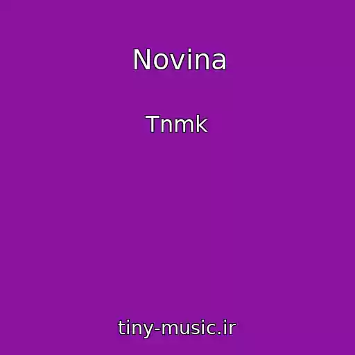کاور آهنگ Novina از Tnmk