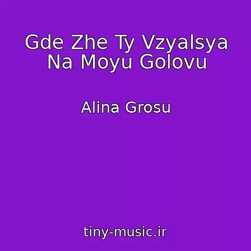 کاور آهنگ Gde Zhe Ty Vzyalsya Na Moyu Golovu از Alina Grosu