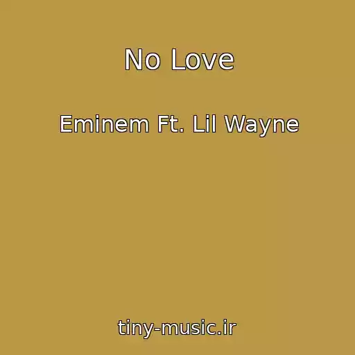 کاور آهنگ No Love از Eminem Ft. Lil Wayne