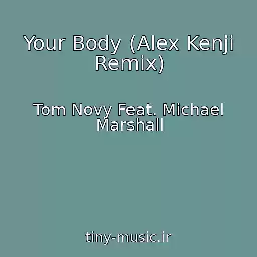کاور آهنگ Your Body (Alex Kenji Remix) از Tom Novy Feat. Michael Marshall