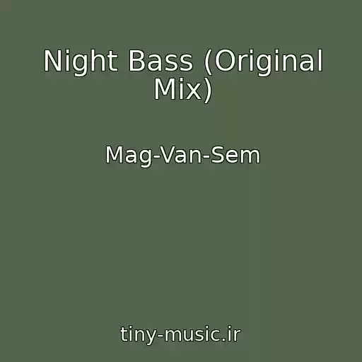 کاور آهنگ Night Bass (Original Mix) از Mag-Van-Sem