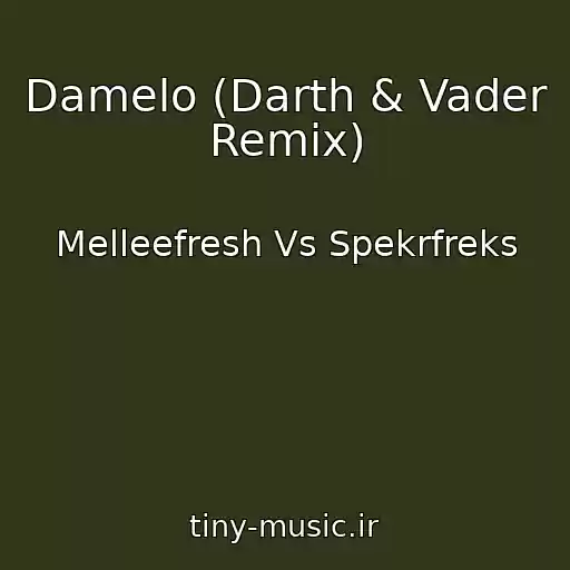 کاور آهنگ Damelo (Darth & Vader Remix) از Melleefresh Vs Spekrfreks