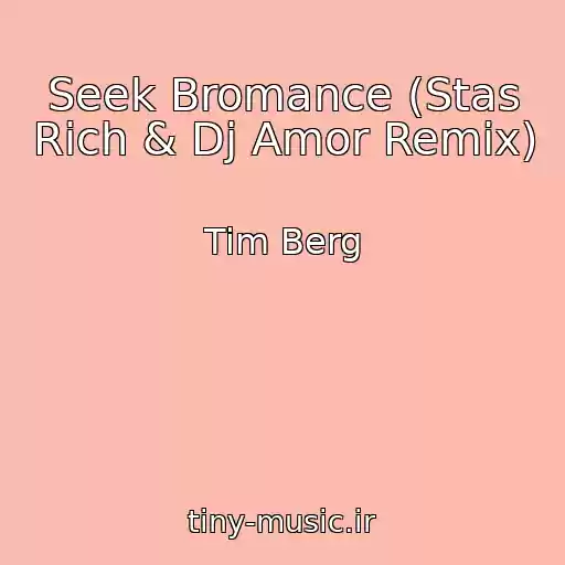 کاور آهنگ Seek Bromance (Stas Rich & Dj Amor Remix) از Tim Berg