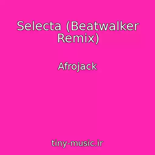 کاور آهنگ Selecta (Beatwalker Remix) از Afrojack