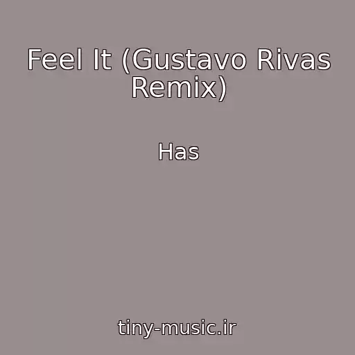 کاور آهنگ Feel It (Gustavo Rivas Remix) از Has
