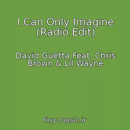 کاور آهنگ I Can Only Imagine (Radio Edit) از David Guetta Feat. Chris Brown & Lil Wayne