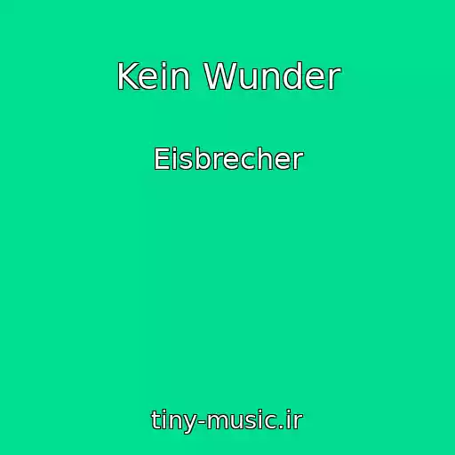 کاور آهنگ Kein Wunder از Eisbrecher