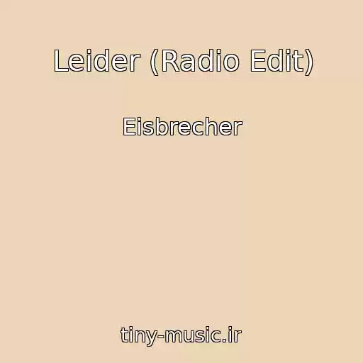 کاور آهنگ Leider (Radio Edit) از Eisbrecher