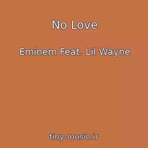 کاور آهنگ No Love از Eminem Feat. Lil Wayne
