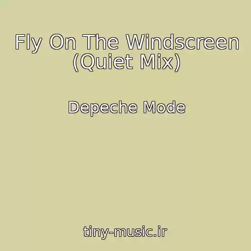 کاور آهنگ Fly On The Windscreen (Quiet Mix) از Depeche Mode